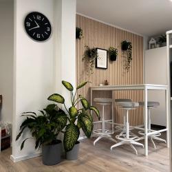 Galeriebild